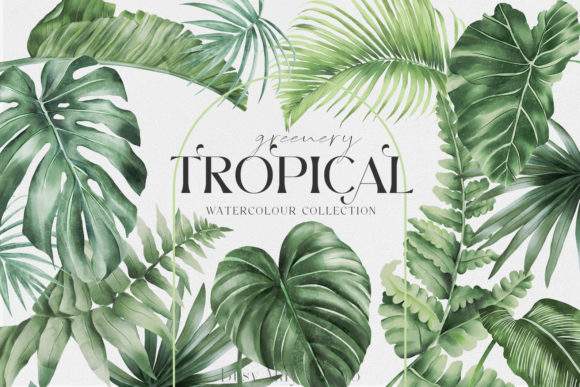 Download Tropical Greenery Jungle Rainforest PNG - Forest Collection