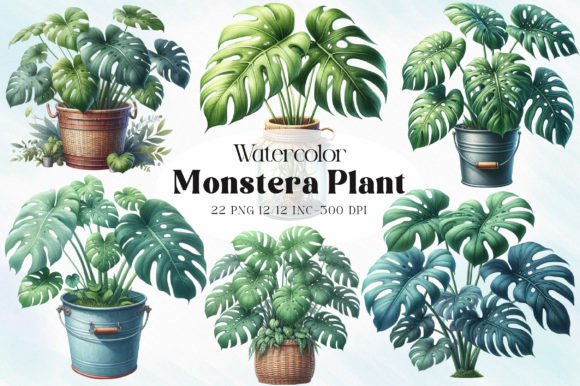 Download Monstera Plant Clipart - Plant Collection
