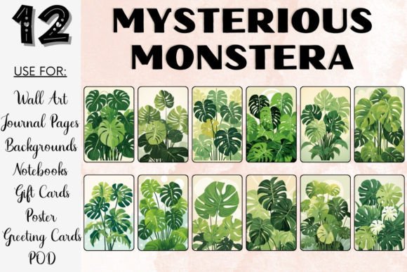 Download Mysterious Monstera Plant PNG Bundle - Plant Collection